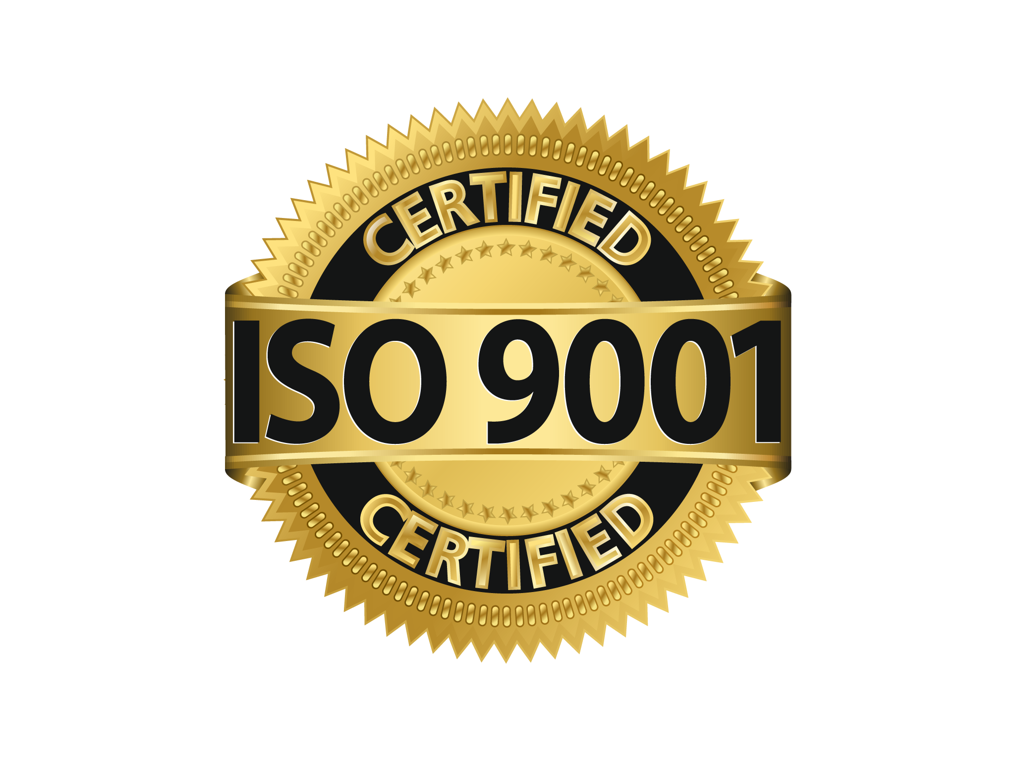 ISO 9001 Logo