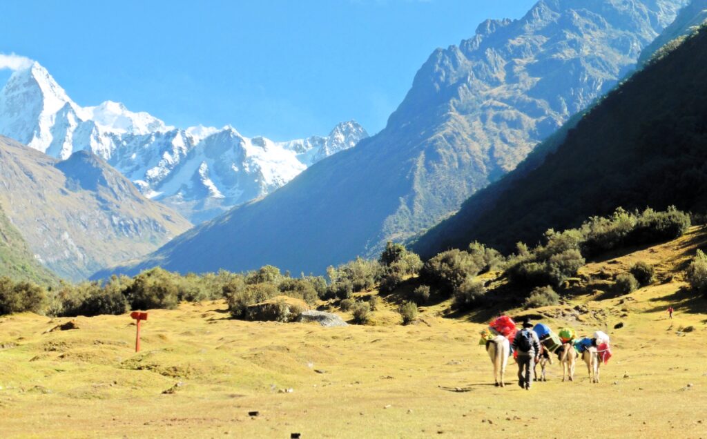 SANTA CRUZ TREK Y HUAYHUASH TREK (21días/20 noches)
