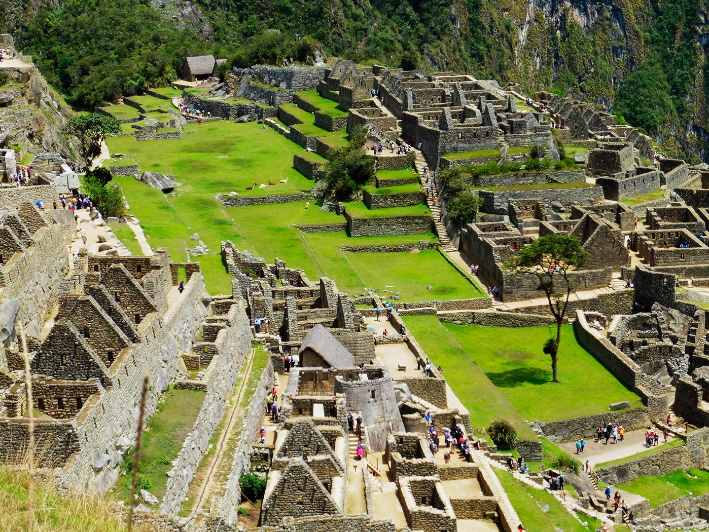 Machu Picchu  